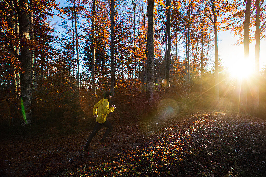 Young man running on a trail through a forest, Allgaeu, Bavaria, Germany