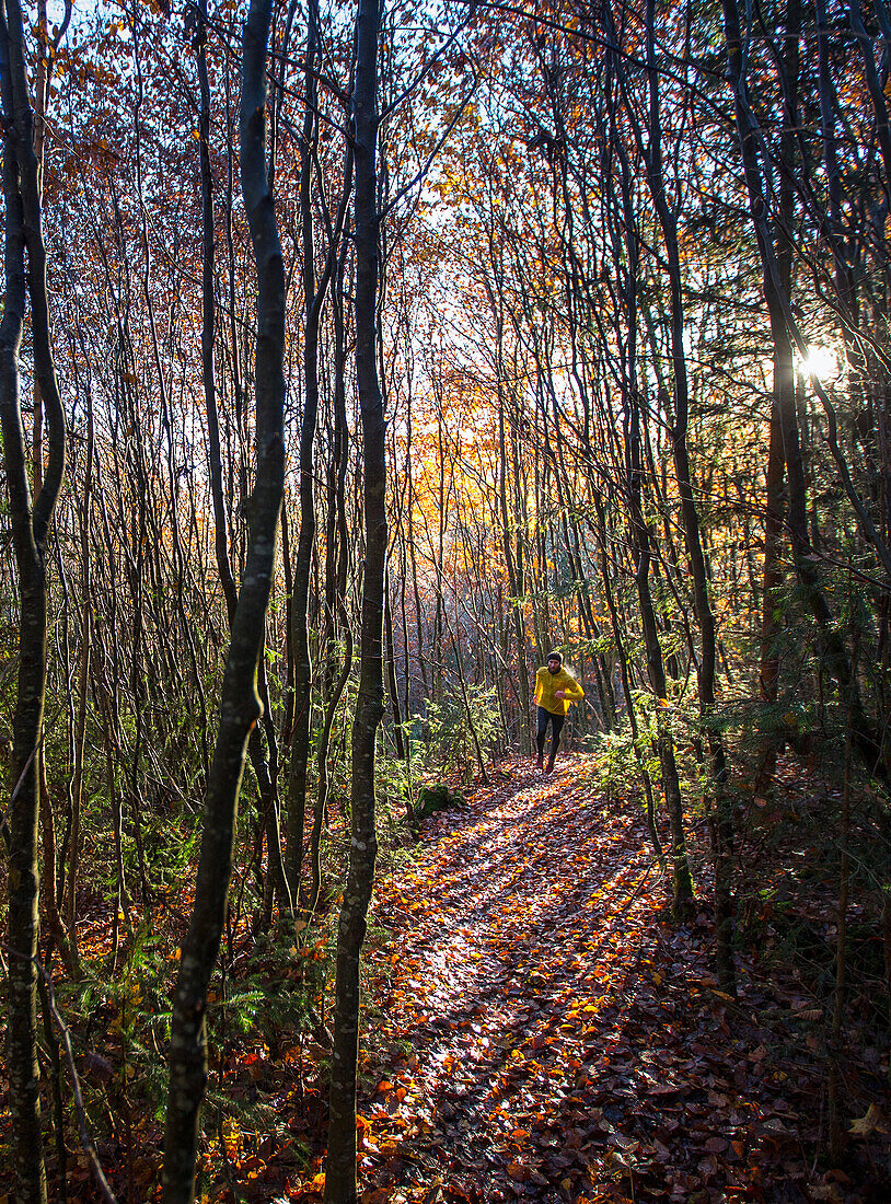 Junger Mann läuft auf einem Weg durch einen Wald, Allgäu, Bayern, Deutschland