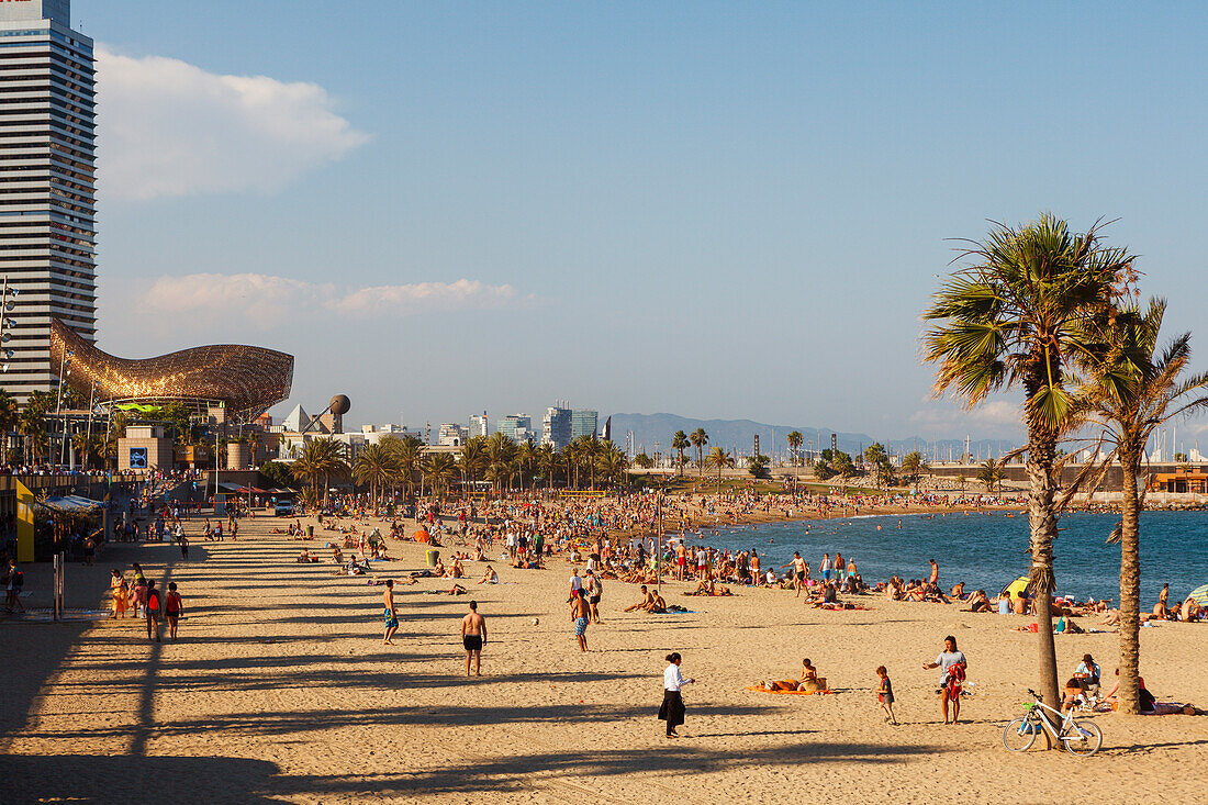 Strandleben, Platja de Barceloneta, Platja de Somrrostro, Strand, beim Port Olimpic. Barceloneta, Barcelona, Katalonien, Spanien, Europa