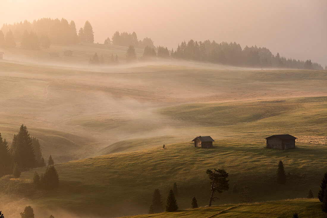 Alpe di SiusiSeiser Alm, Dolomites, South Tyrol, Italy. Autumnal morning light on the Alpe di SiusiSeiser Alm