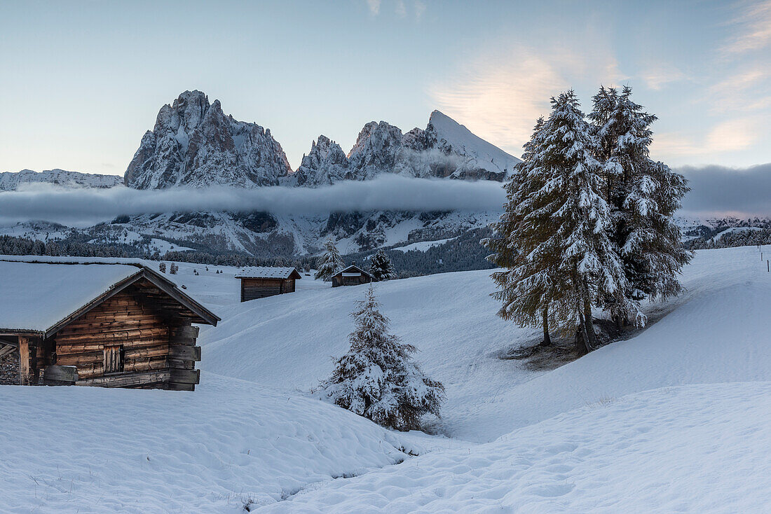 Alpe di SiusiSeiser Alm, Dolomites, South Tyrol, Italy. The first autumn snow on the Alpe di SiusiSeiser Alm