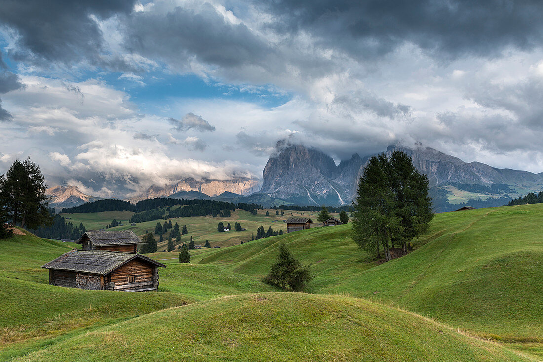 Alpe di SiusiSeiser Alm, Dolomites, South Tyrol, Italy. View from the Alpe di Siusi to the peaks of SassolungoLangkofel and Sassopiatto  Plattkofel