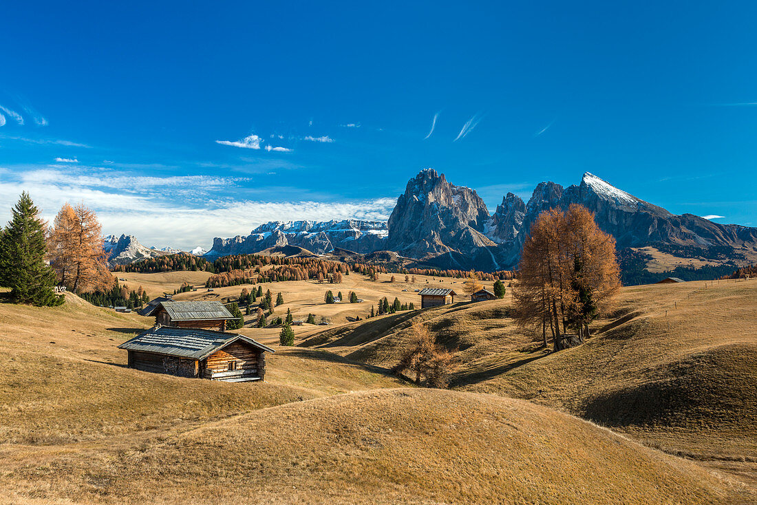 Alpe di SiusiSeiser Alm, Dolomites, South Tyrol, Italy. Autumn on the Alpe di SiusiSeiser Alm with the peaks of Sella, SassolungoLangkofel and SassopiattoPlattkofel