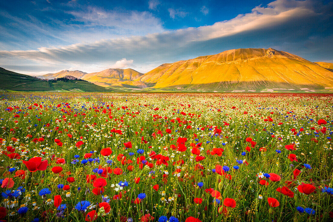 Castelluccio di Norcia, Umbria, Italy