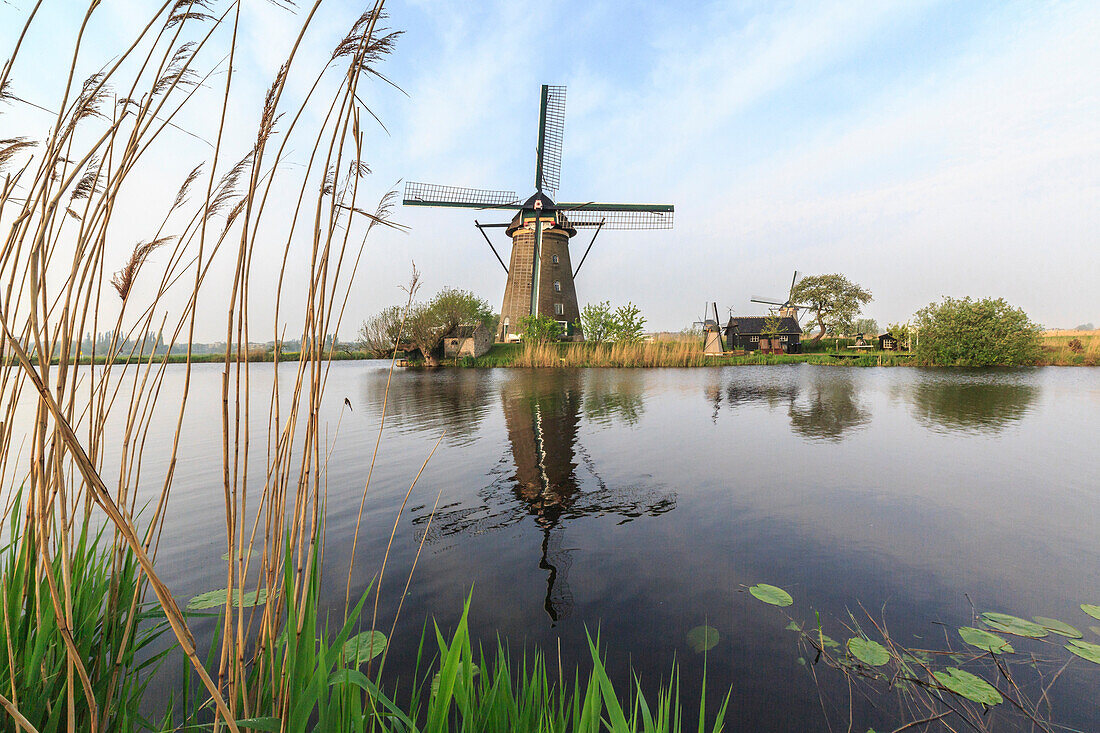 Green grass frames the windmills reflected in the canal, Kinderdijk, Rotterdam, South Holland, Netherlands, Europe