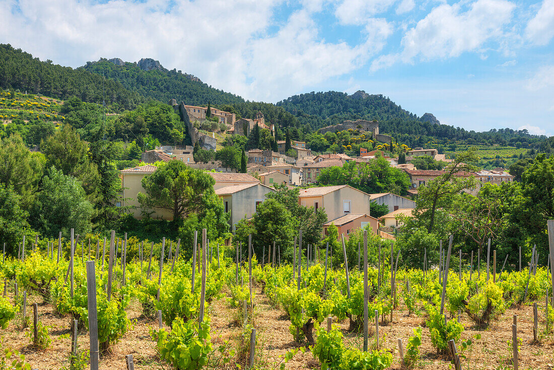Gigondas, Dentelles de Montmirail, Vaucluse, Provence-Alpes-Cote d'Azur, France