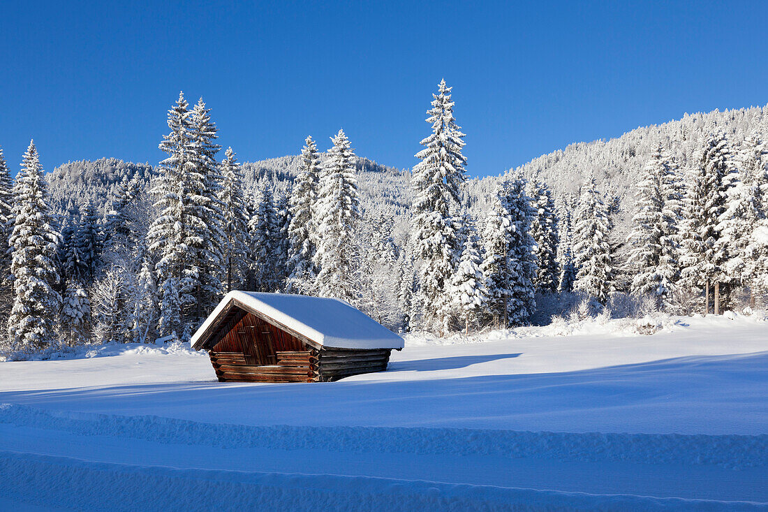 Heustadel in Winterlandschaft, bei Krün, Bayern, Deutschland