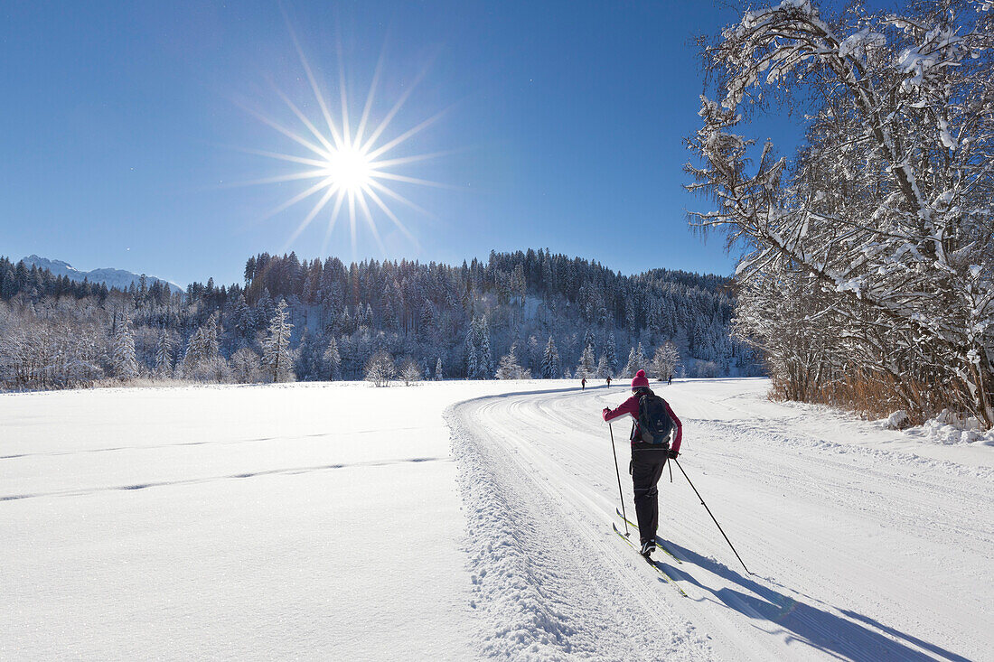 Cross-country skiing, near Kruen, Bavaria, Germany
