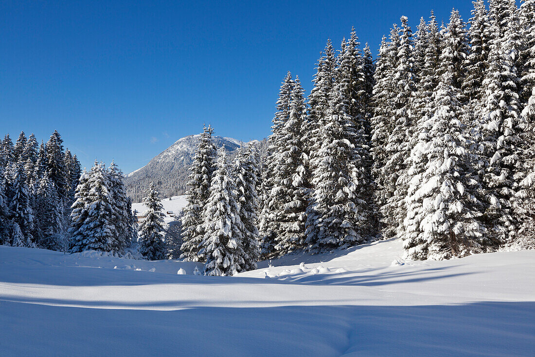 Winterlandschaft bei Gerold, Blick zum Wank, Bayern, Deutschland