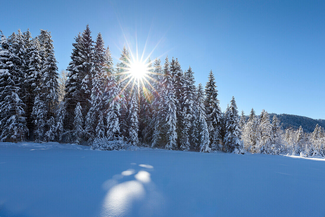 Winterlandschaft bei Gerold, Bayern, Deutschland