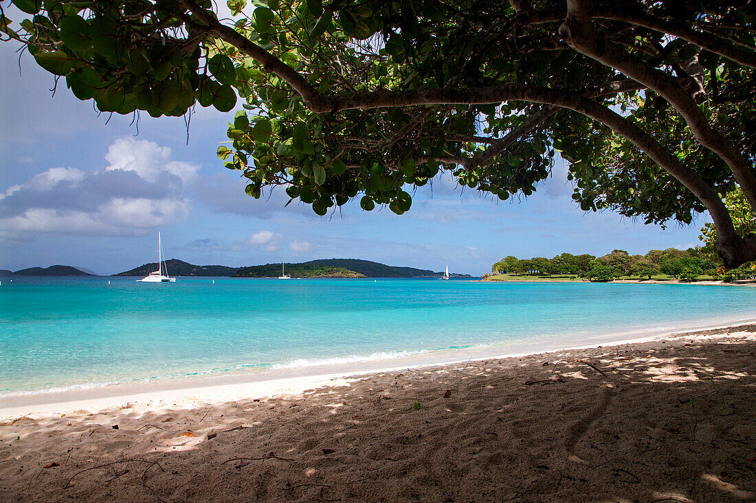 Tree provides shade on the tropical sandy beach of Caneel Bay, St. John, USVI, looking out at anchored sailboats.