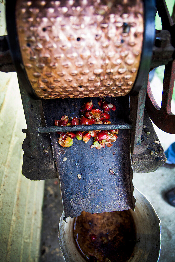 A coffee machine that removes the husks of the freshly picked coffee cherries at a remote farm in rural Colombia.