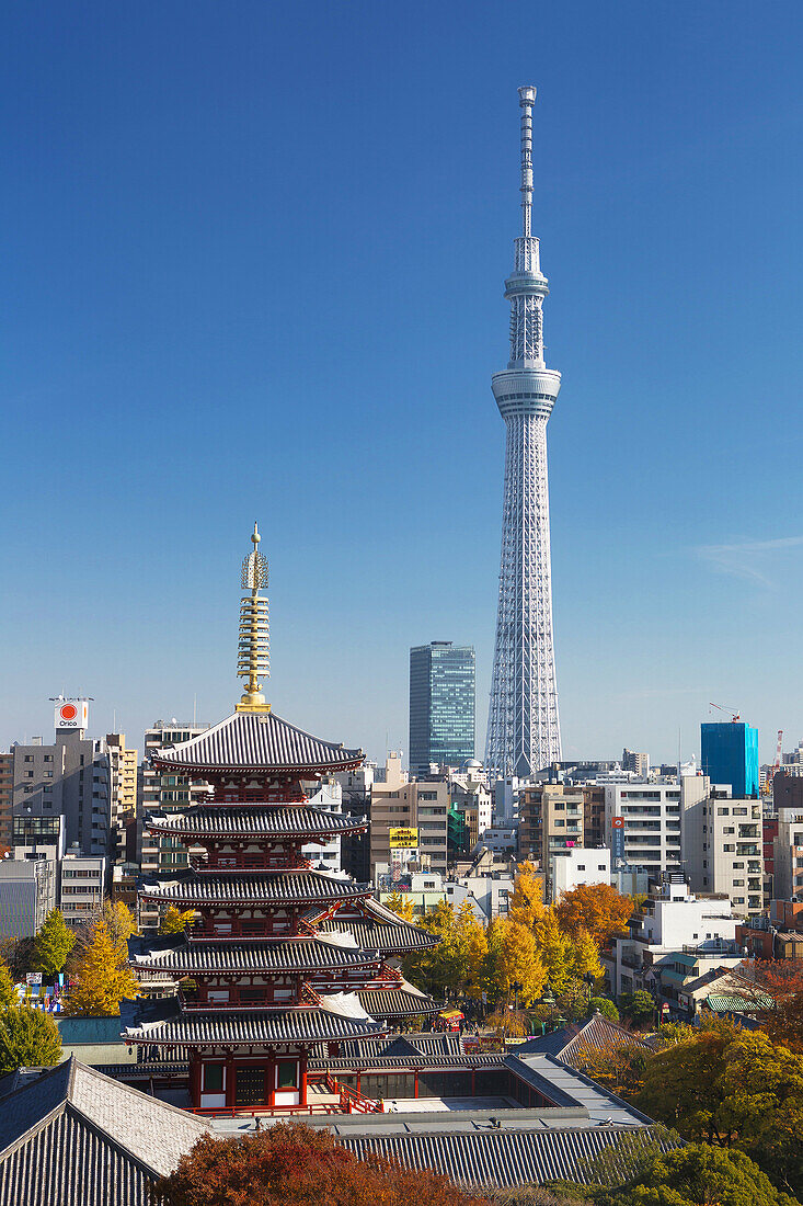 Japan , Tokyo City ,Asakusa District, Sensoji Temple and the Sky Tree Tower.