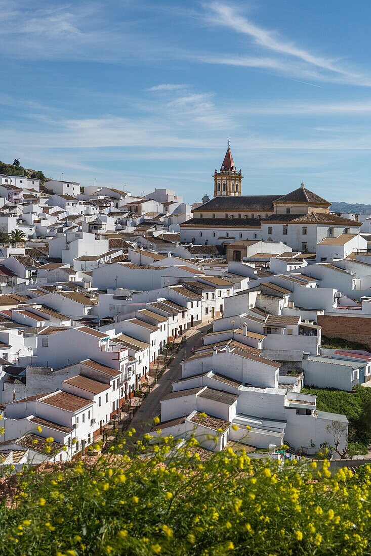 Spain , Andalucia Region, Malaga province, Teba City.