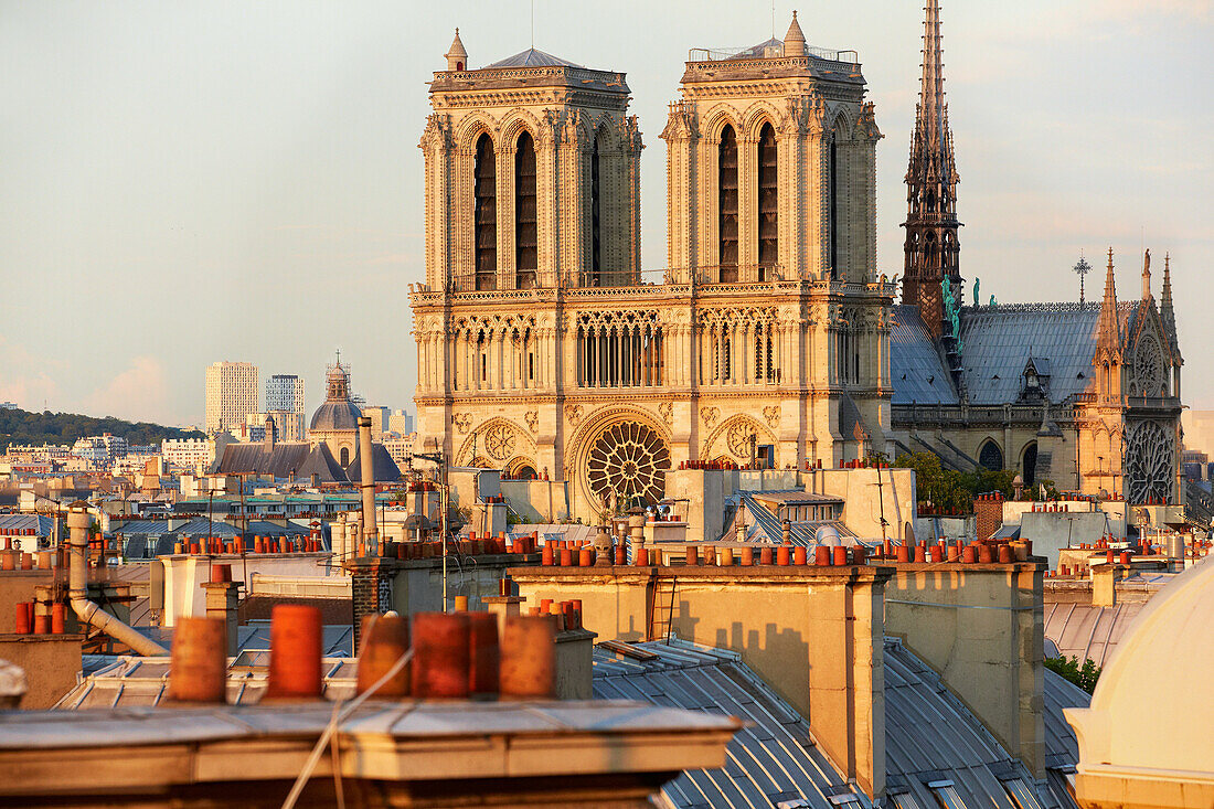 Pariser Dächer und Schornsteine. Kathedrale Notre Dame. Paris. Frankreich.