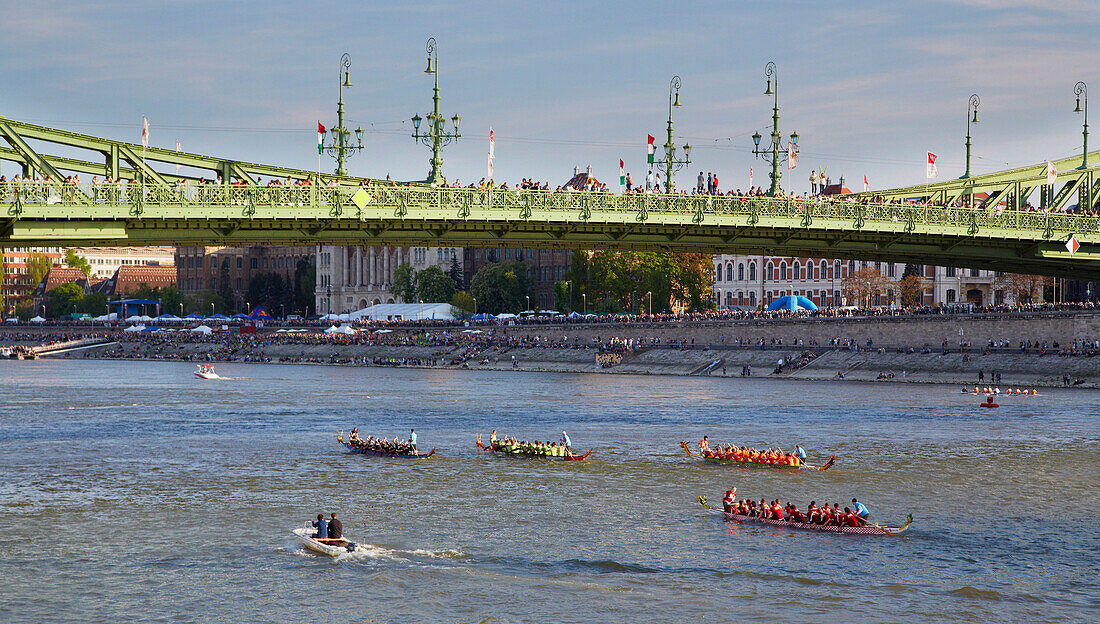 Dragon boat race near the bridge Bridge of Liberty (Szabadsag hid) , Buda , Budapest , River Danube , Hungary , Europe