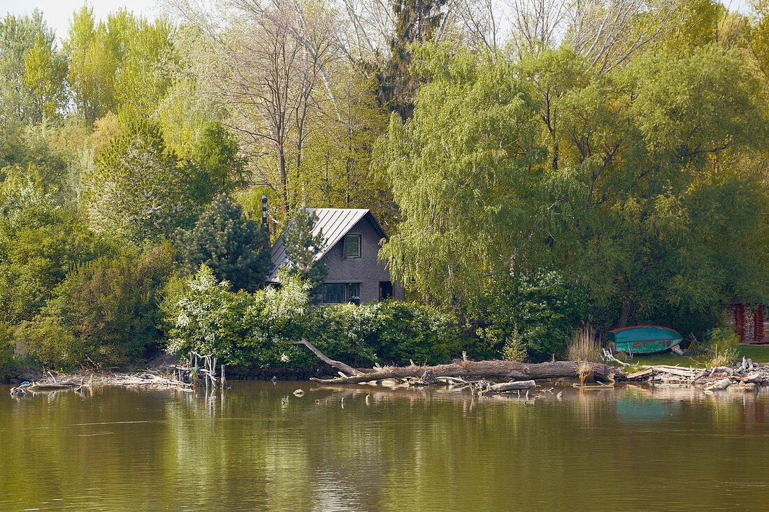 Bei Bratislava , Ferienhäuser und Hausboote am Altdonauarm in Jarovecké rameno , Donau (km1856 - 60) , Slowakei , Europa