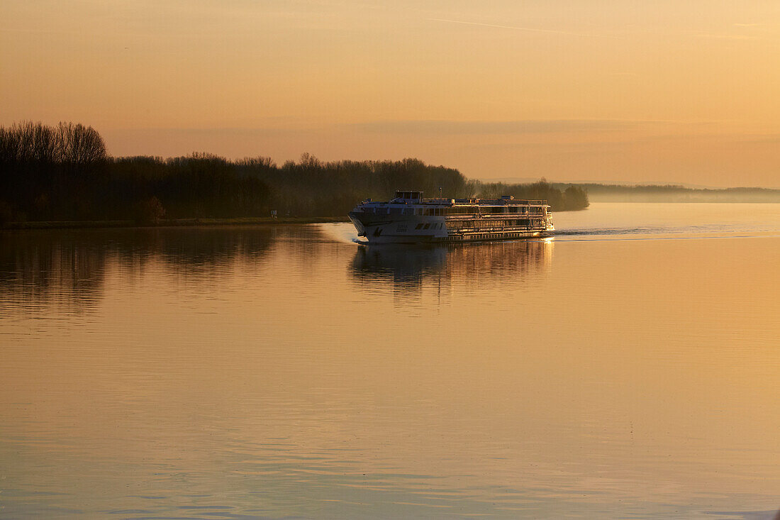 Sonnenaufgang an der Donau im Tullner Becken , Bundesland Niederösterreich , Österreich , Europa