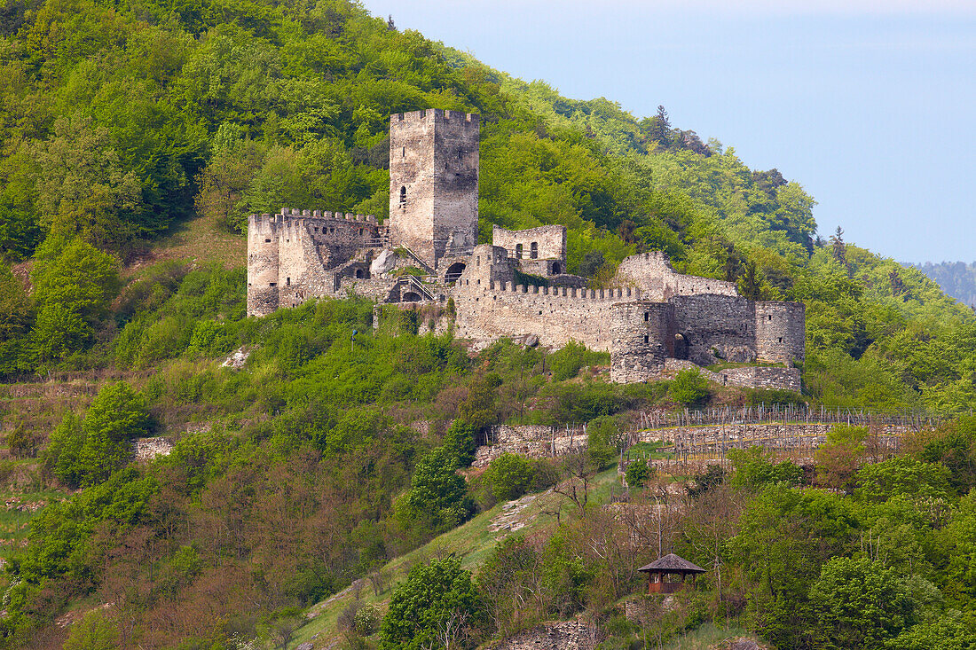 View at Spitz with ruin Hinterhaus , Wachau , River Danube , Niederösterreich , Lower Austria , Austria , Europe