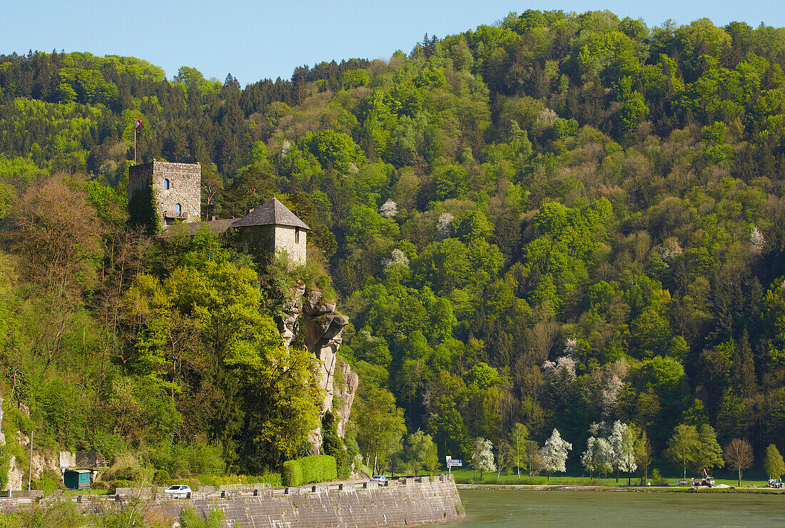 View at Werfenstein castle at Struden , River Danube , Strudengau , Oberösterreich , Upper Austria , Austria , Europe