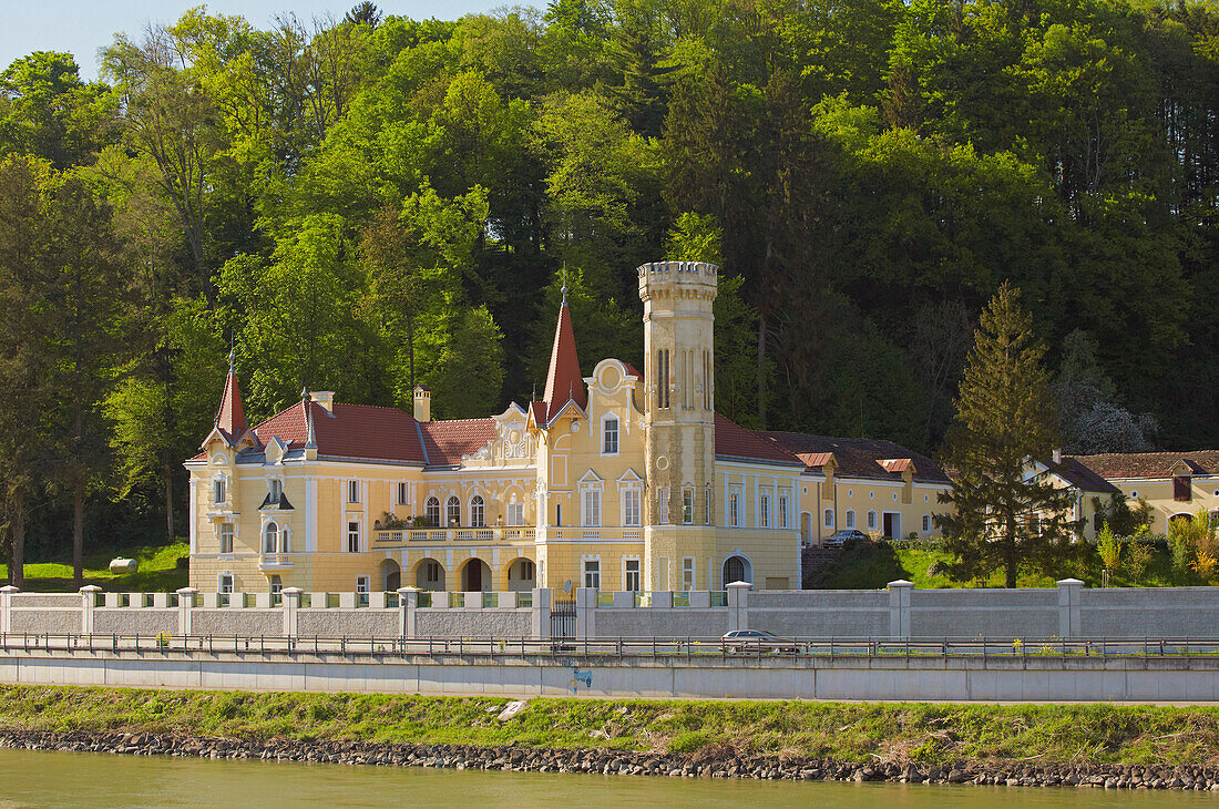 Burg Dornach bei Grein , Donau , Strudengau , Bundesland Oberösterreich , Österreich , Europa