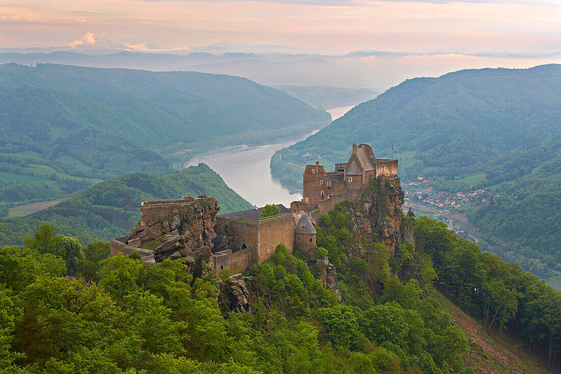 Blick über Burg Aggstein auf die Donau , Wachau , Bundesland Niederösterreich , Österreich , Europa