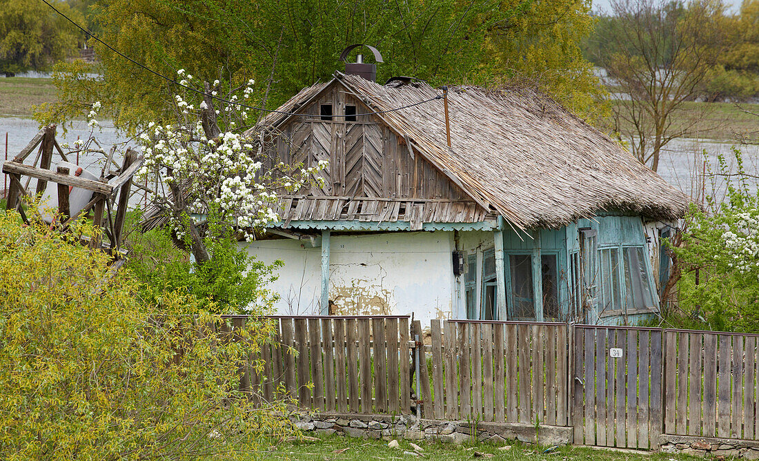 Traditional house in the Danube Delta near Ilganii und Partizani , About km 60 away from the mouth of the Sulina branch of the Danube , Black Sea , Romania , Europe