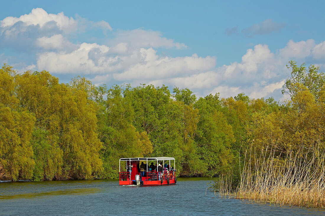 Biosphärenreservat Donaudelta bei Tulcea , Tulcea-Arm der Donau , Rumänien , Europa