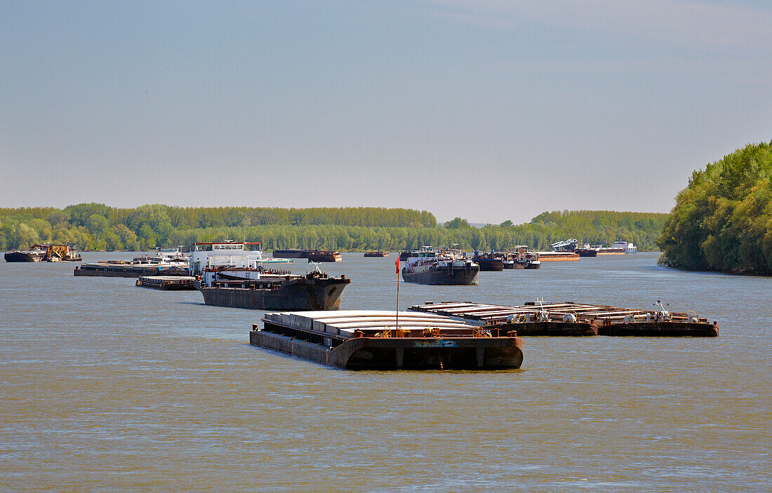 Frachtschiffe bei Novi Sad , Donau , Serbien , Europa