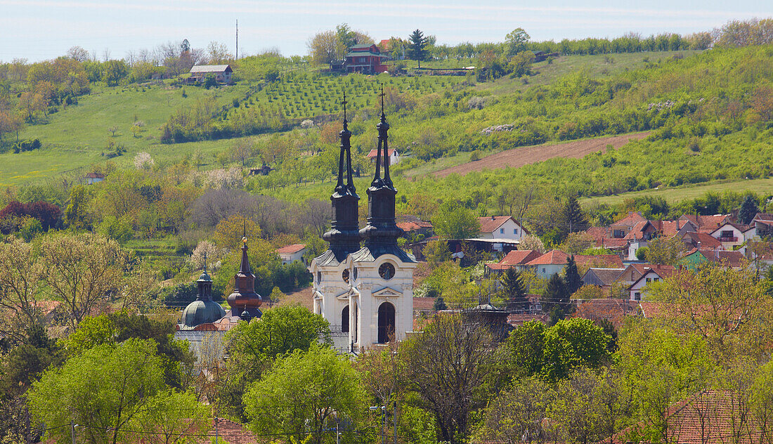 Blick auf Sremski Karlovci , Donau (km1244) , Serbien , Europa