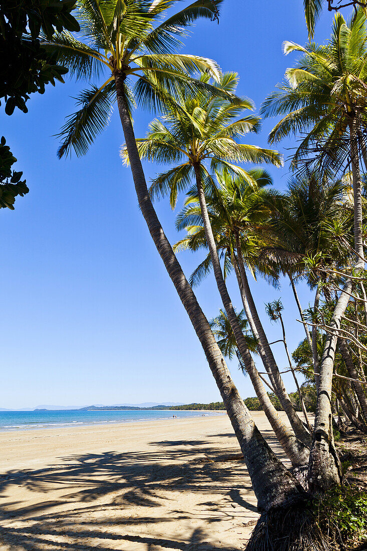 Australia, Queensland, palm fringed Mission Beach, Cassowary Coast Region, Coral Sea.