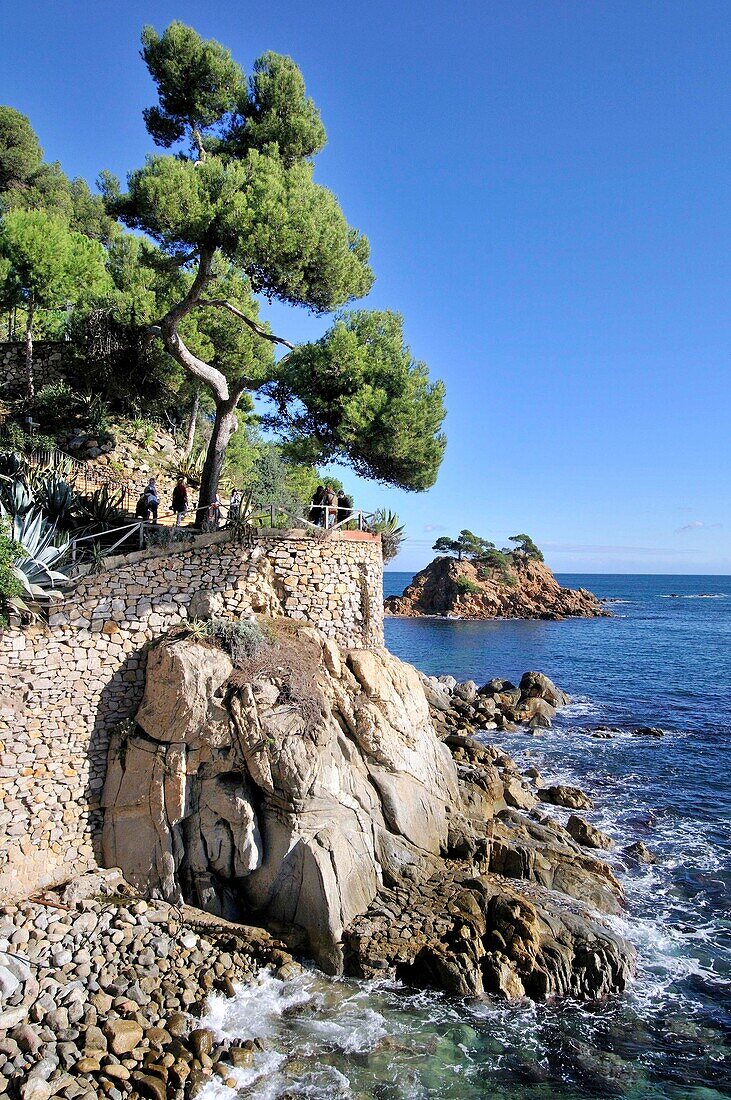 Costa Brava. Coastal región that stretches from Blanes, 60 km northeast of Barcelona, to the French border. Cap Roig coast. Girona. Catalonia. Spain.