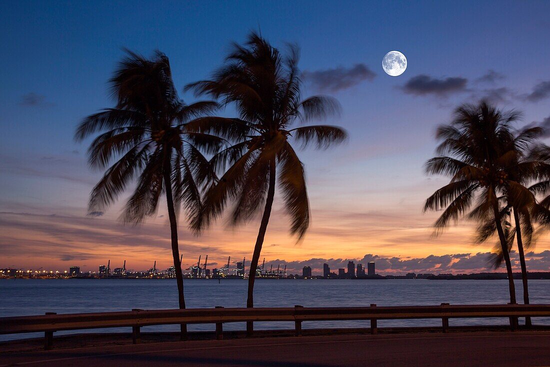 Miami Beach Port Of Miami Skyline Biscayne Bay Miami Florida Usa.