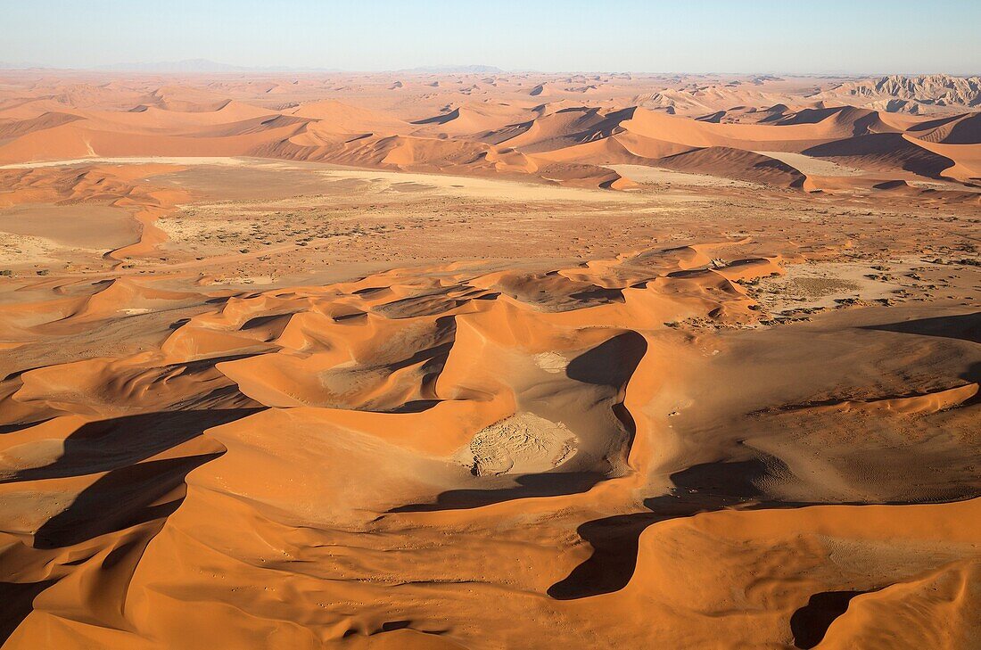 Sand dunes in the Namib Desert. Top right the Witberg (White Mountain, 426m), a granite massif in the centre of the Namib Desert. The trees are Camelthorn trees (Acacia erioloba). In the evening. Aerial view. Namib-Naukluft National Park, Namibia.