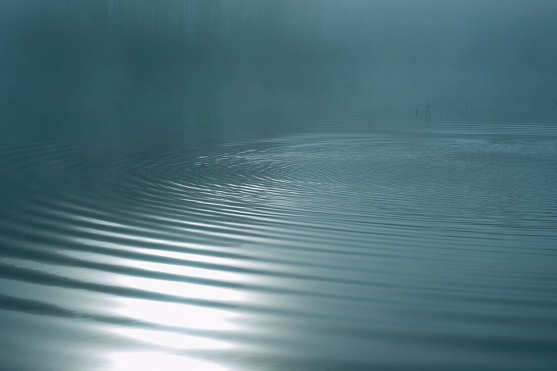 Horizontal photo of ripples on the water of a lake early in the morning, Alabama USA.