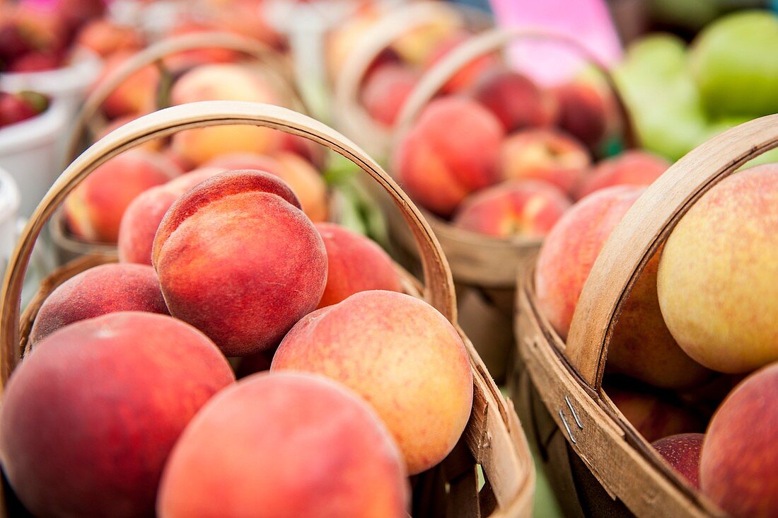 Fresh organic peaches on display at a farmer´s market.