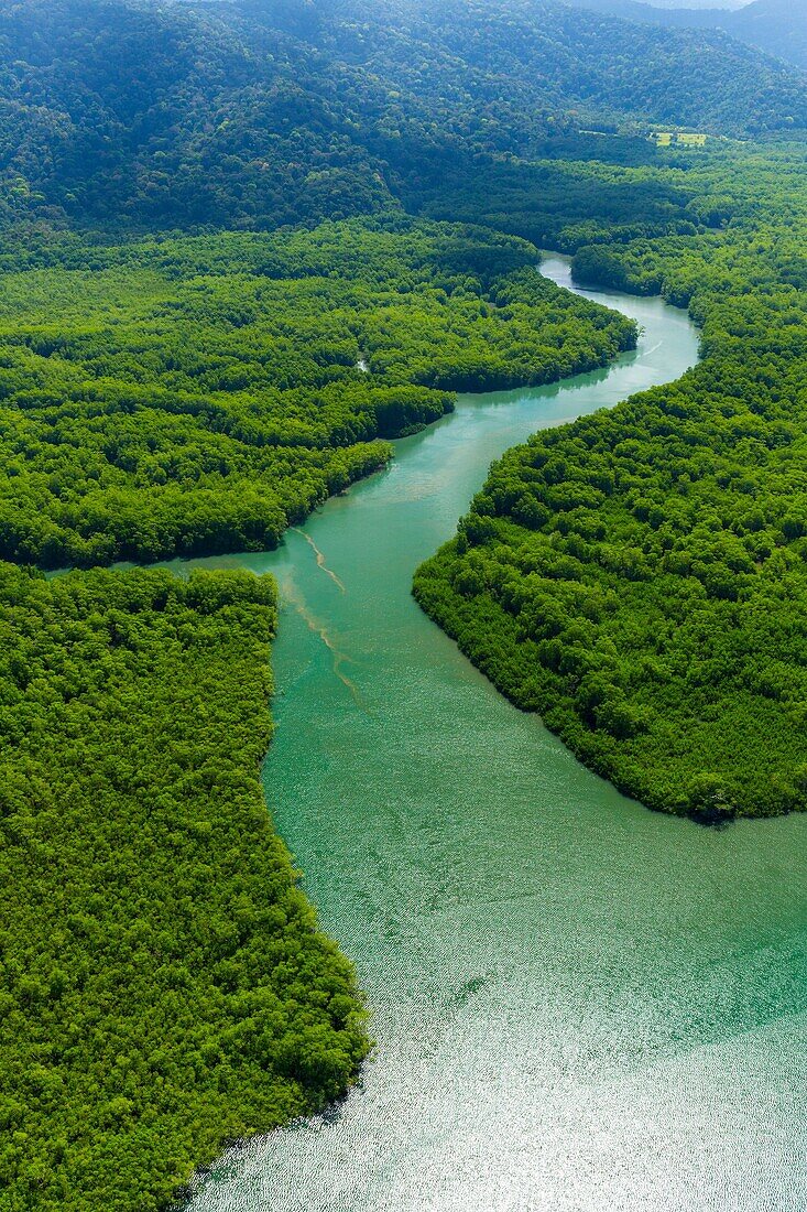 Aerial view of Delta Sierpe River Terraba, Corcovado National Park, Osa Peninsula, Puntarenas Province, Costa Rica, Central America, America.