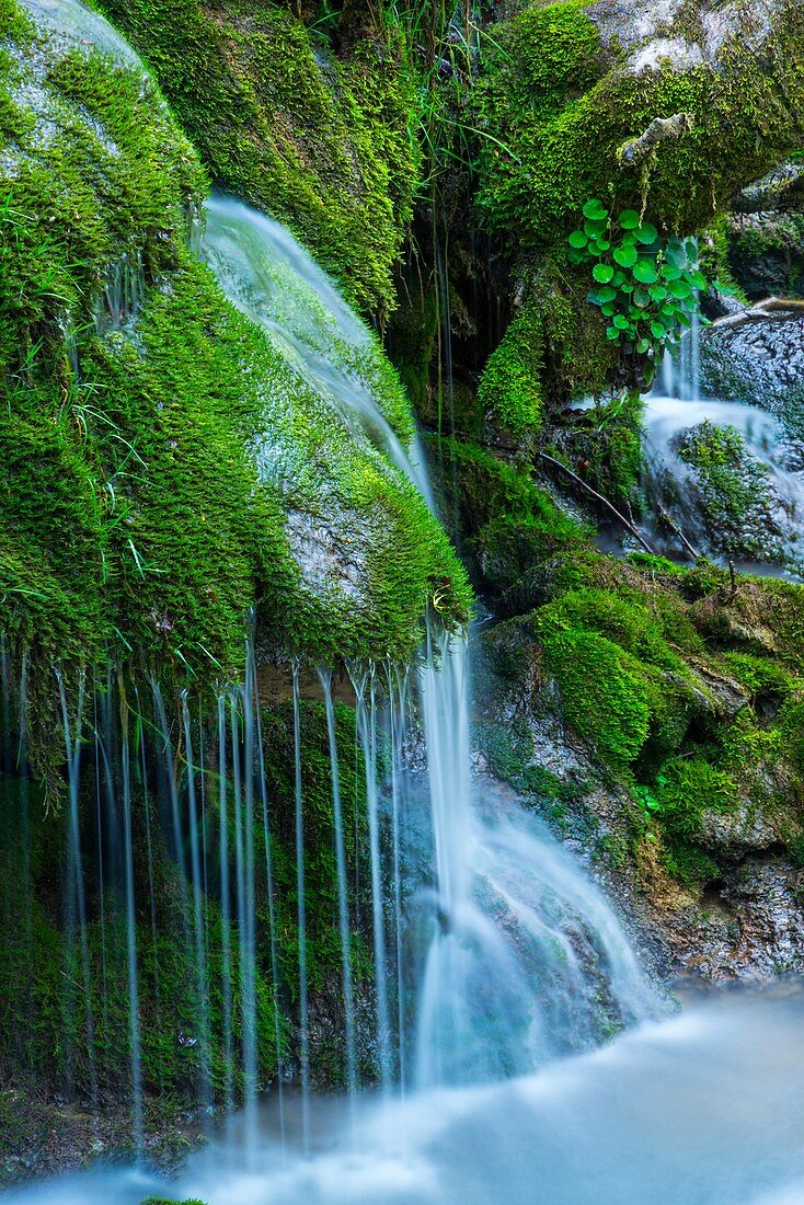 TOBERIA FALLS, ANDOIN, SIERRA ENTZIA NATURAL PARK, ALAVA, BASQUE COUNTRY, SPAIN, EUROPE.