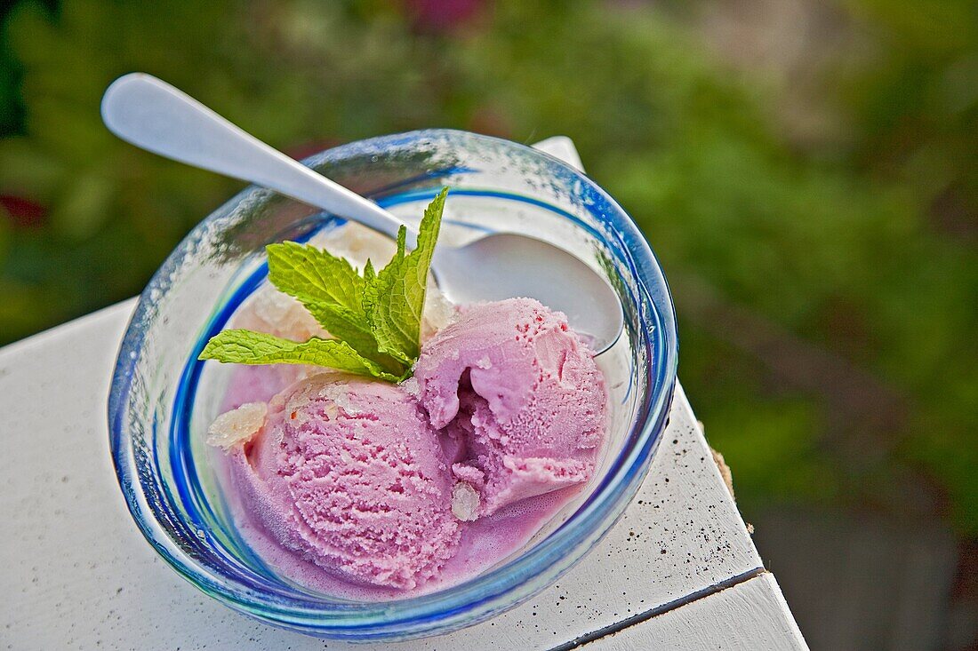 'Raspberry Gelato (gelato is the Italian word for ice cream, derived from the Latin word ''gelÄ. tus''.meaning frozen) desert sitting in bowl with spoon and a garnish of mint leaf.'