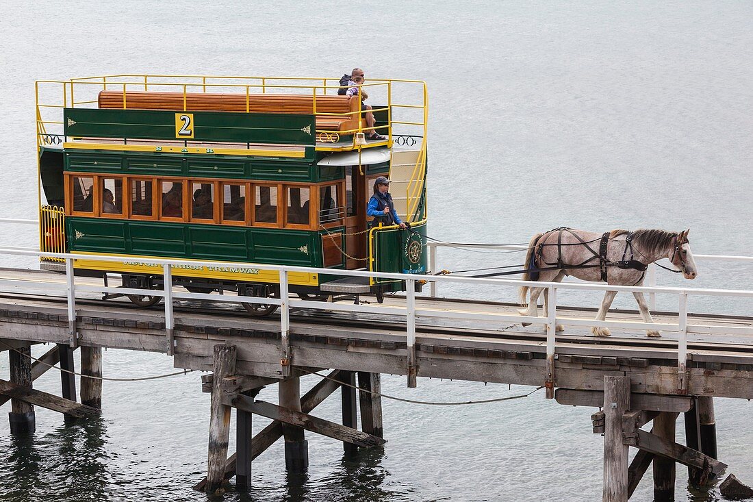 Australia, South Australia, Fleurieu Peninsula, Victor Harbor, horse-drawn tram to Granite Island.