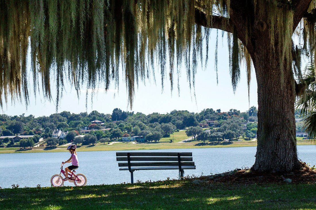 Florida, Lake Wales, Lake Wailes, public park, Spanish moss, hanging, girl, riding, bicycle, safety helmet, bench, water, scenery.