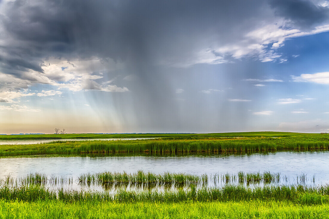 A rain shower on the prairie landscape near Langdon, North Dakota, USA.