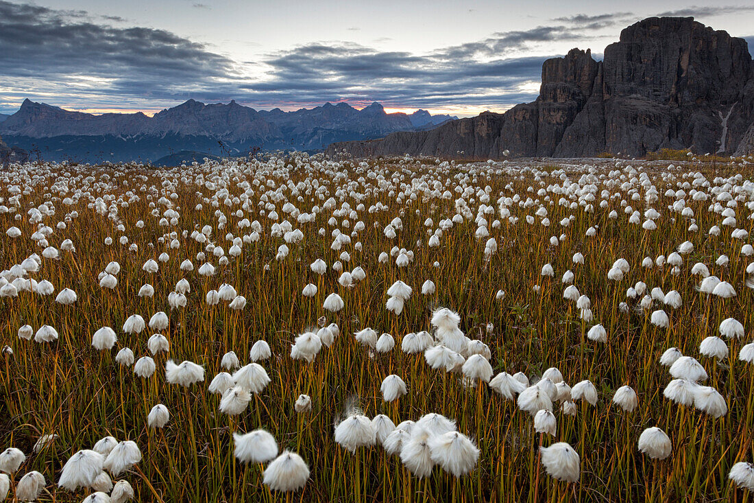 Masores de Pissadu, Sella group, Dolomites, South Tyrol, Bolzano, Italy.