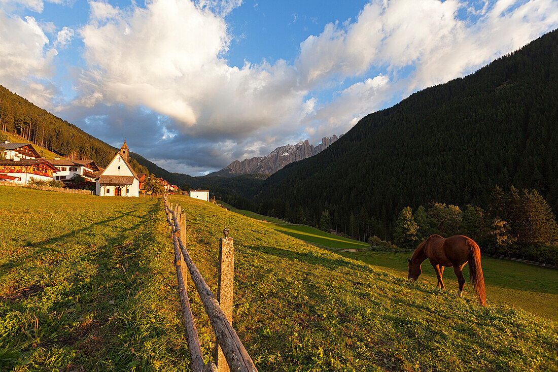 Nova LevanteWelschnofen, Dolomites, South Tyrol, Italy.