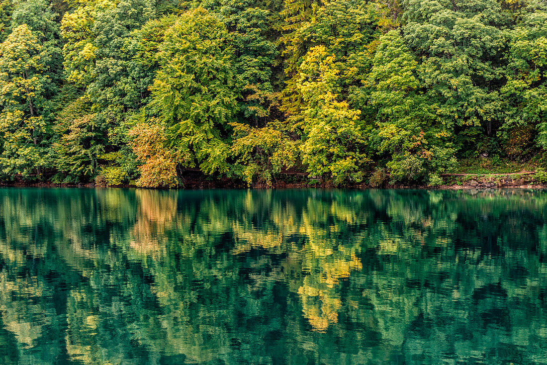 Italy, Trentino Alto Adige, Non valley, reflection of autumn trees Tovel Lake