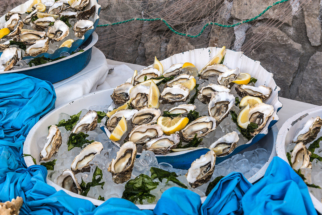Italy, fresh seafood, oysters
