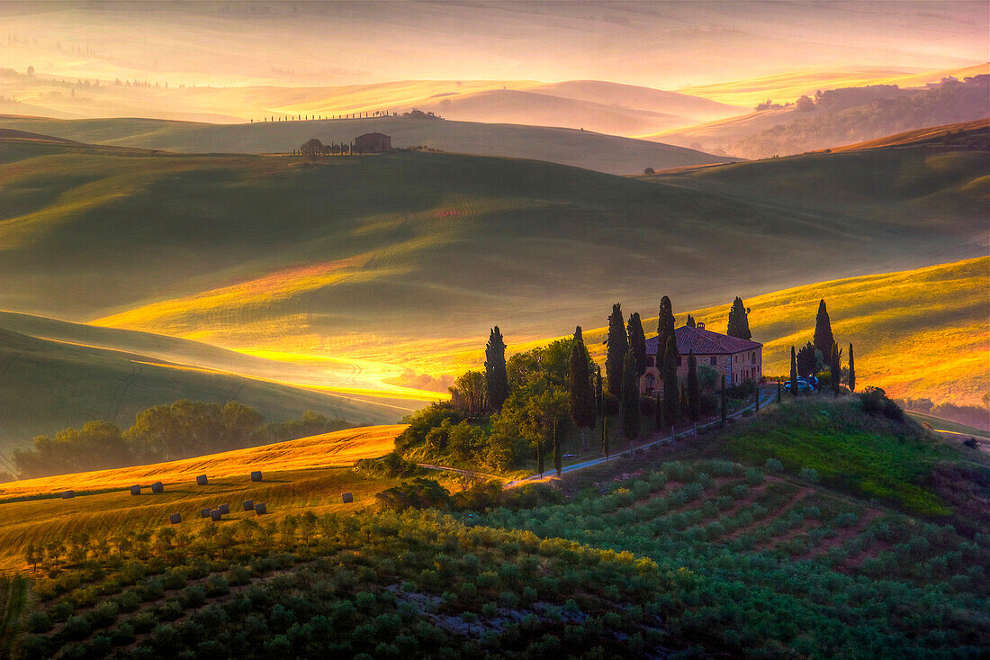 A beautiful farmhouse surrounded by cypress trees and the golden hills of Val d'Orcia