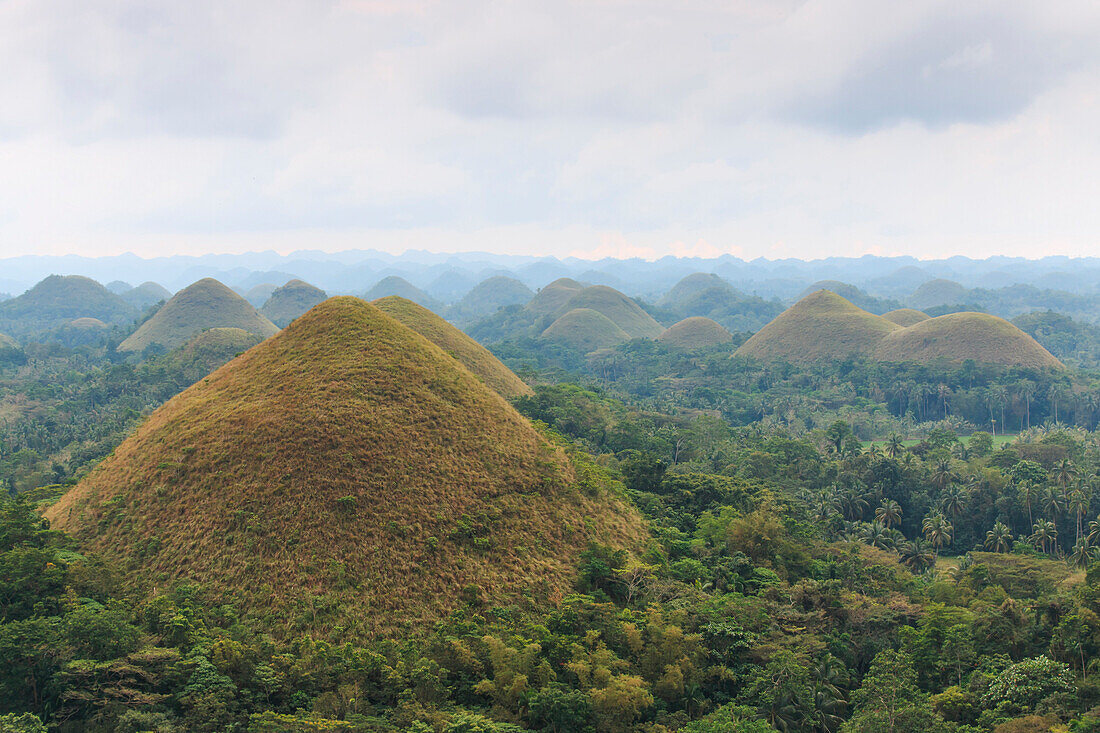 Chocolate hills, in Bohol, Philippines