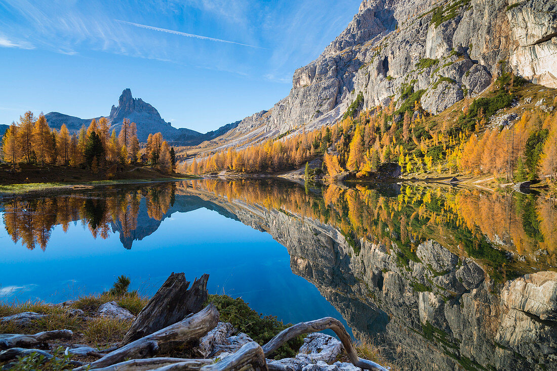 Becco di Mezzodi in the Federa lake, Dolomites, Trentino Alto Adige Italy Europe