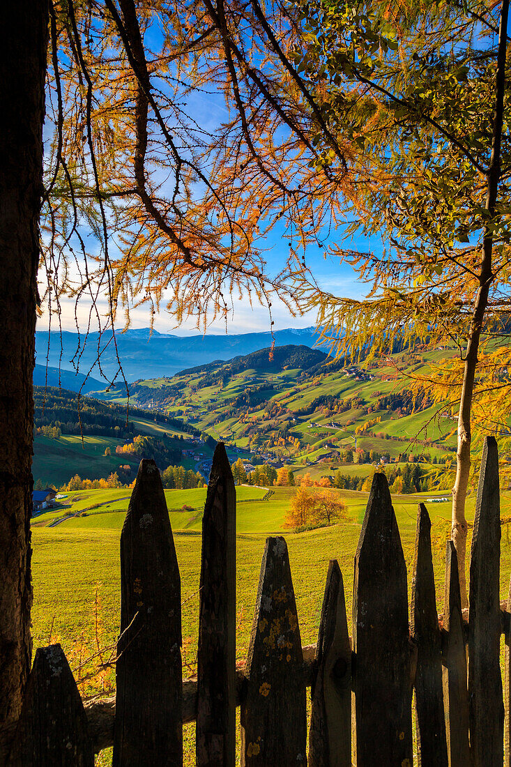 Odle in autumn, Dolomiti, alto adige, italy